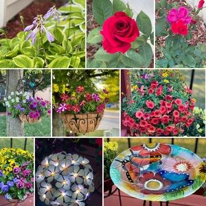 Meet your Posher, Amnah